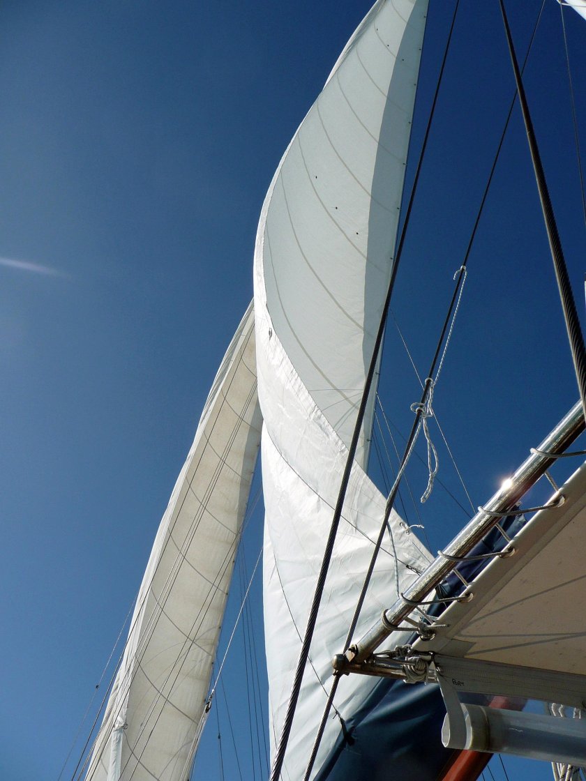 Парусный спорт