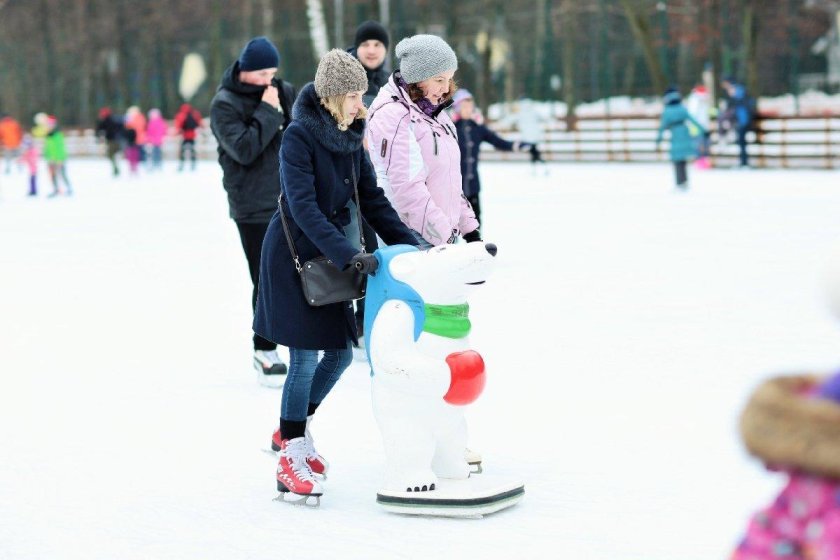 Измайловский парк каток