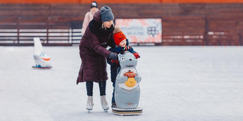 Пингвины на катке ВДНХ