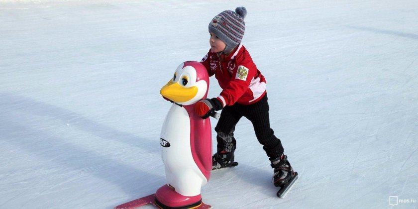 Помощник фигуриста Пингвин