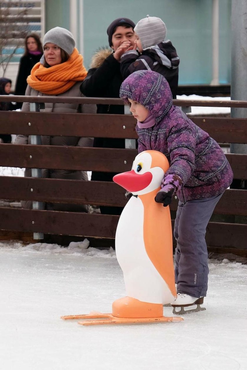 Пингвин для катания
