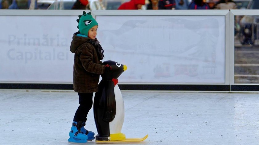 Пингвин для катания