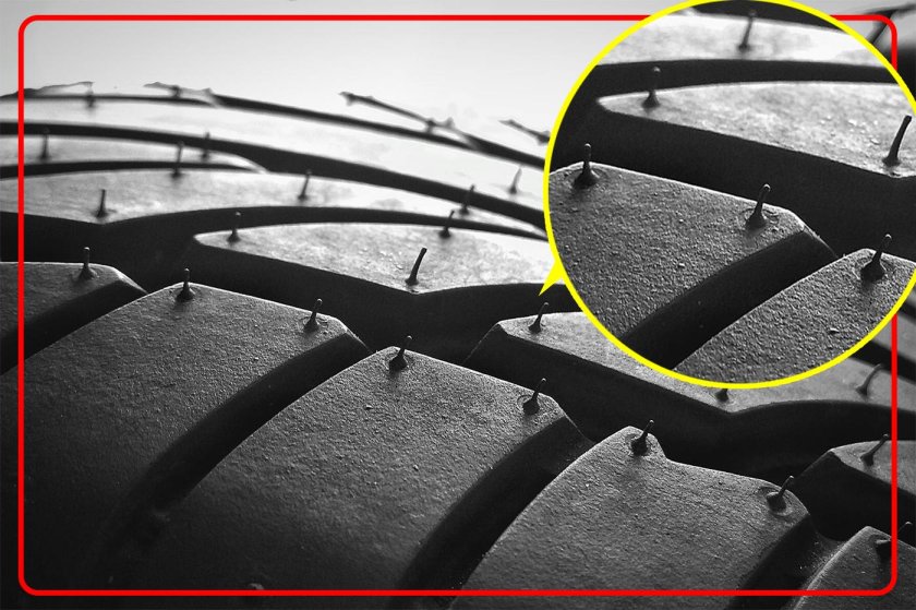 Волоски на шинах