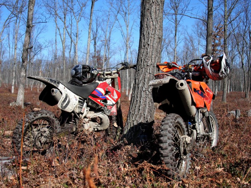 Эндуро в осеннем лесу