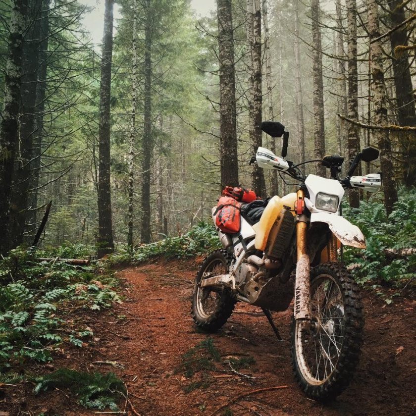 Мотоцикл в лесу