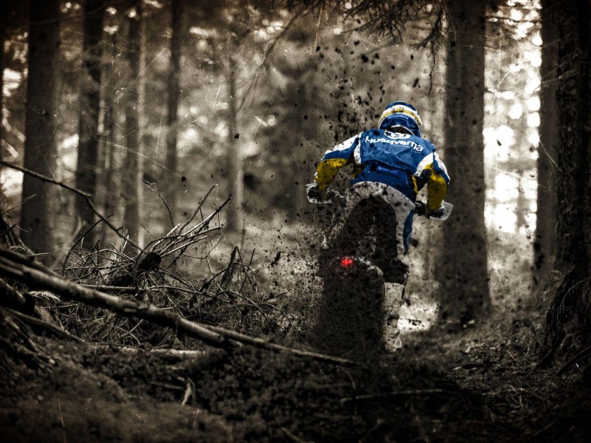 Эндуро по лесу