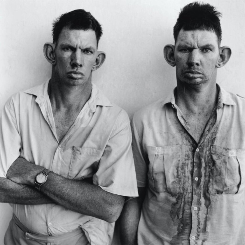 Ричард Аведон Близнецы