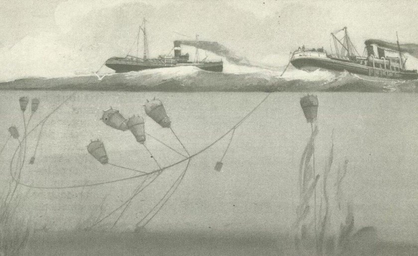 Минный параван