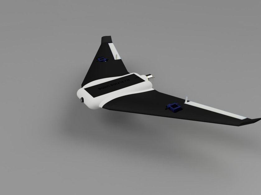 FPV 3d Printed Wing Drone