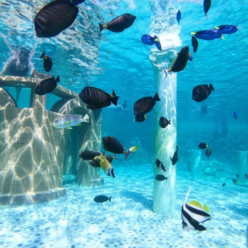 Морской парк Sealanya Sea Park