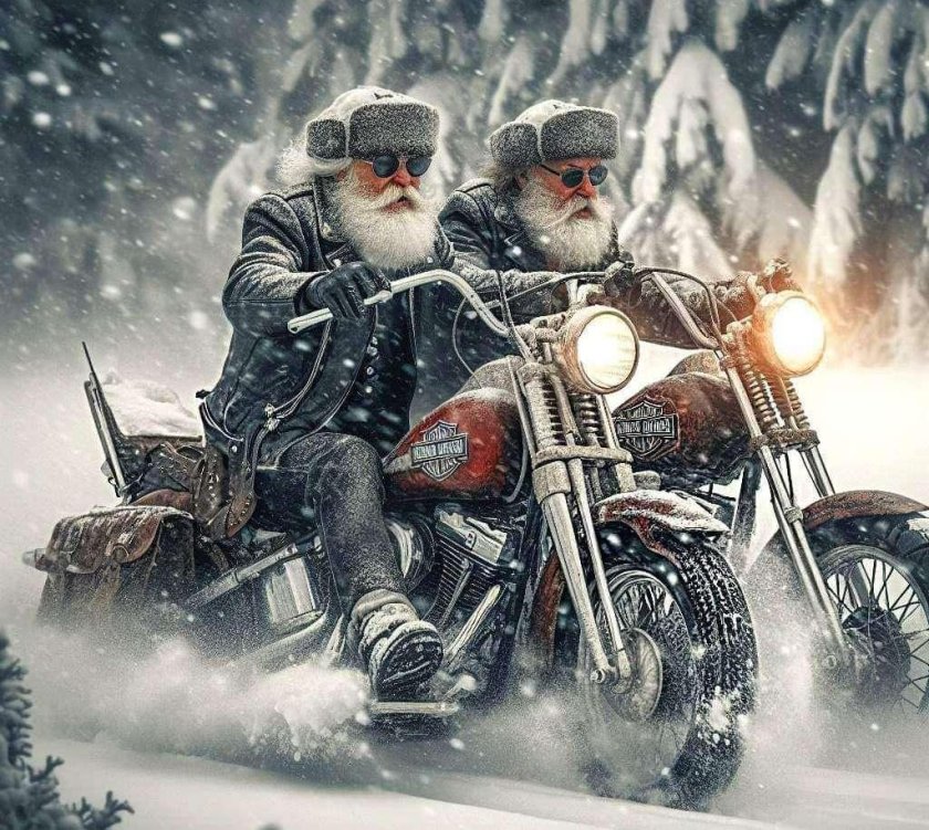 Харлей зимой