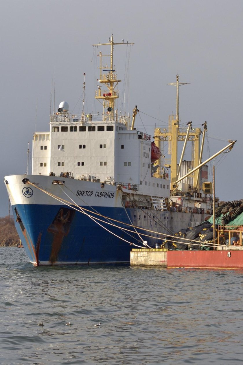 Виктор Гаврилов судно