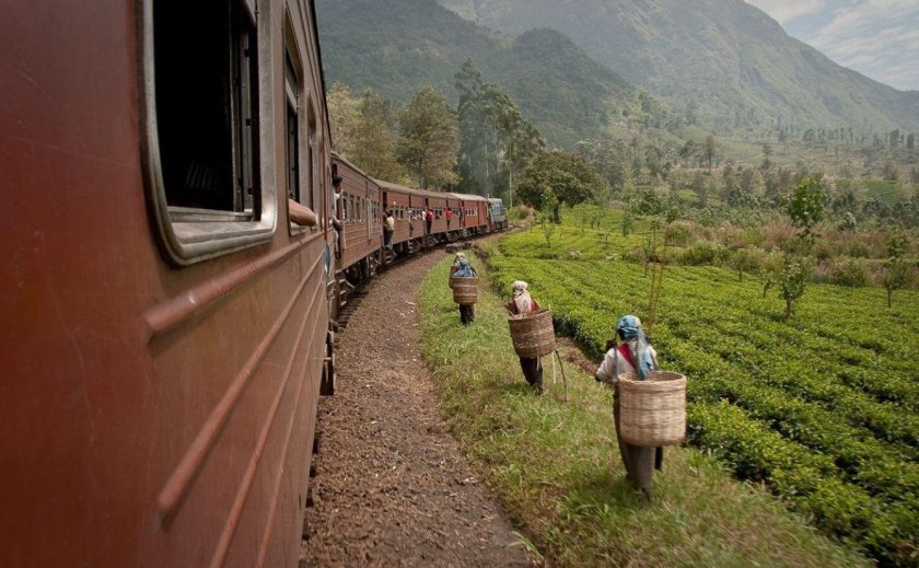 Нувара Элия поезд