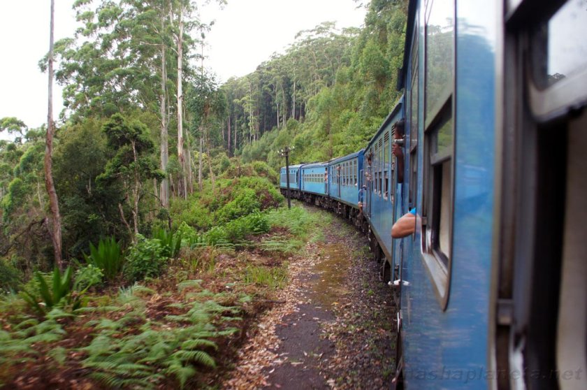 Нувара Элия Шри Ланка поезд