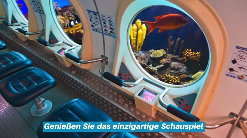 Whale Submarine Мальдивы