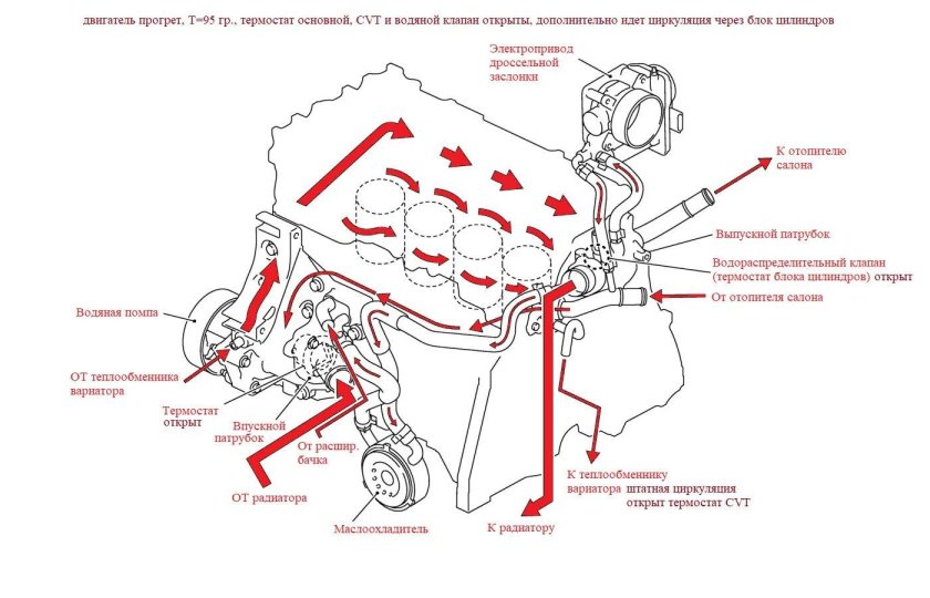 Схема системы охлаждения двигателя qr20de