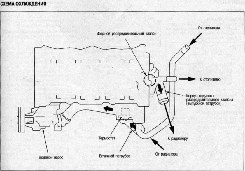 Схема системы охлаждения двигателя qr20