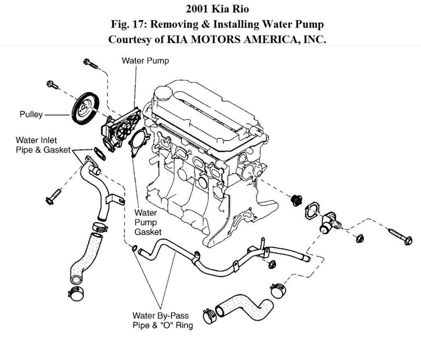 Система охлаждения двигателя Киа Рио 3