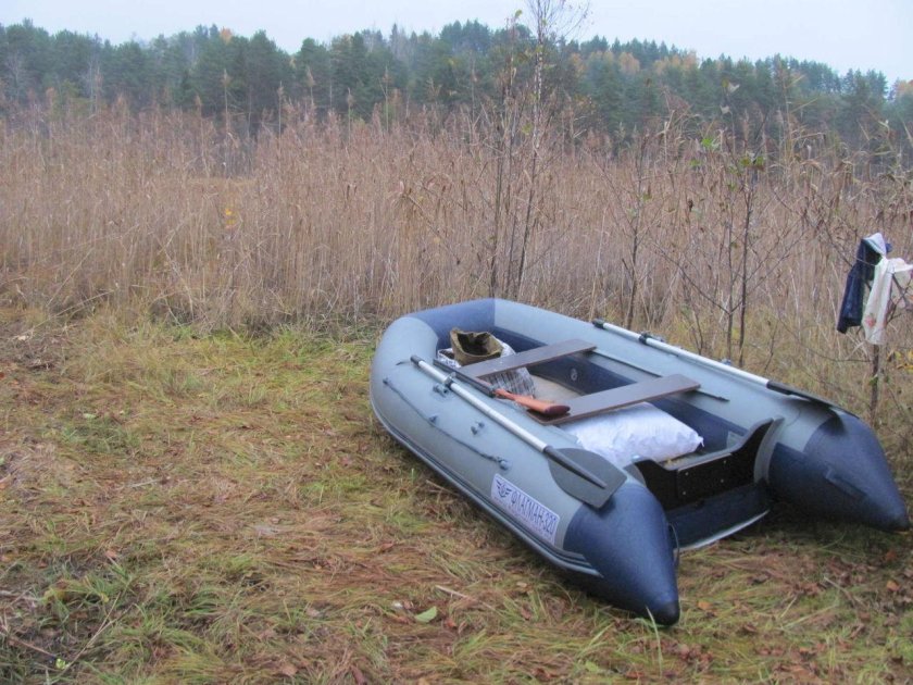 Лодка флагман 320