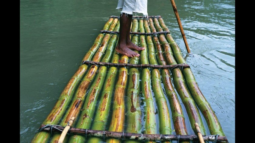 Бамбуковый плот