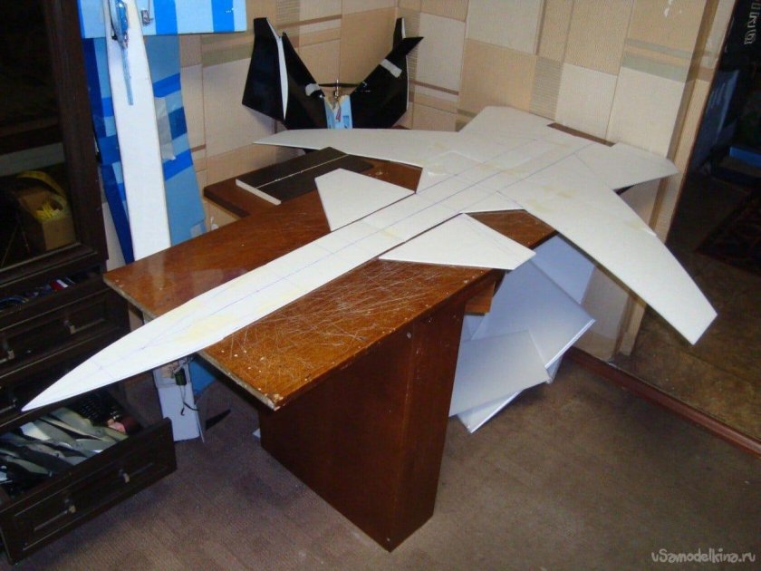 Самолёт с крылом обратной стреловидности