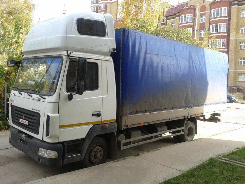 Спальник МАЗ Зубренок 4371