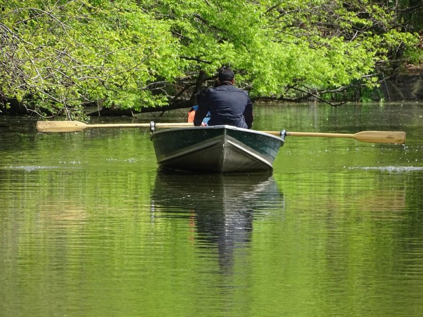 Лодка плывет