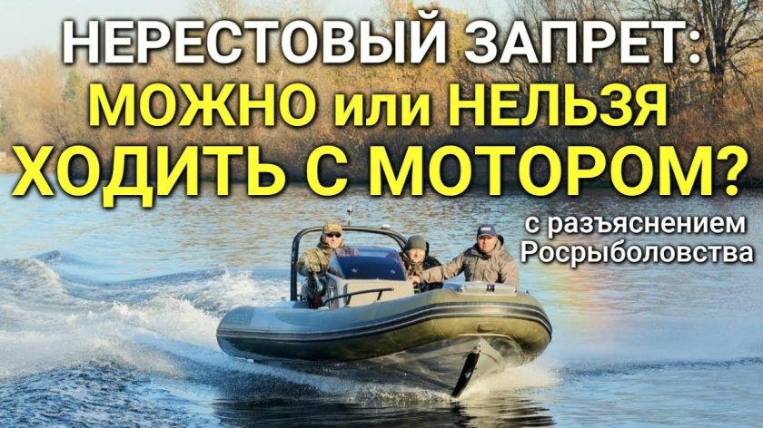 Моторная лодка на реке