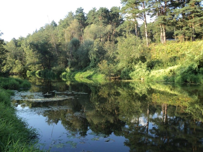 Дом отдыха Лопасня Чеховский район