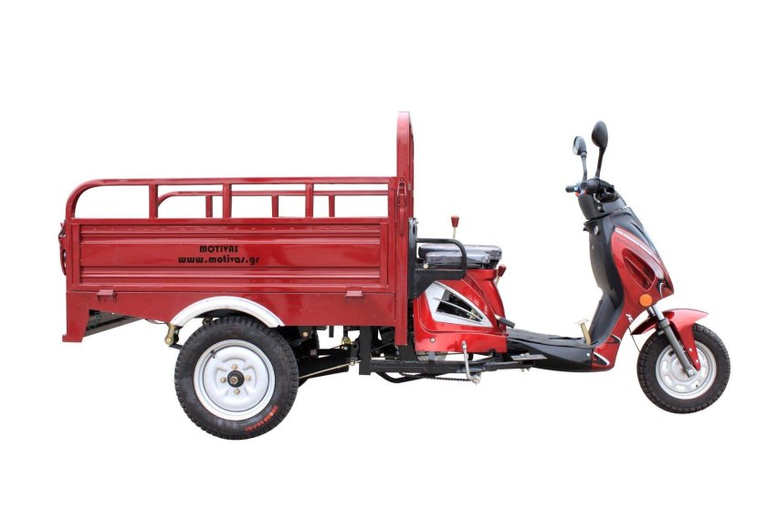 Грузовой мотороллер Racer RC-G-110 Muravei