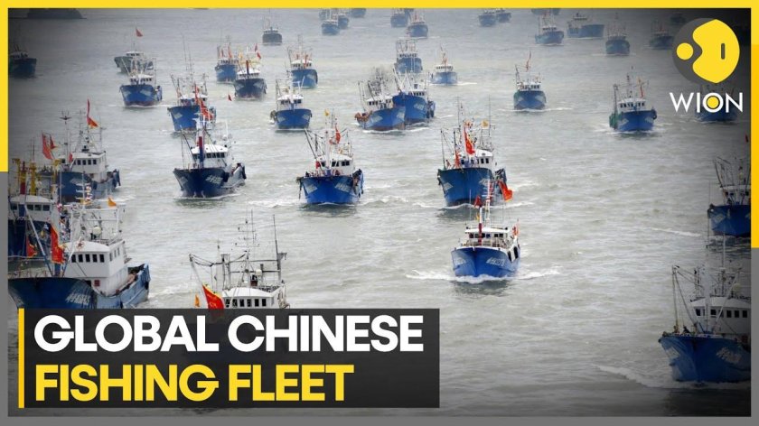 Рыболовецкий флот Китая