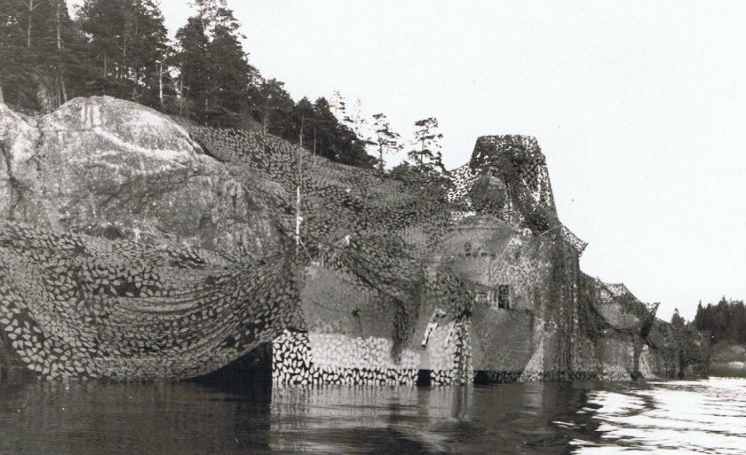 Корабль под маскировочной сетью