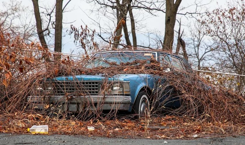 Брошенные машины