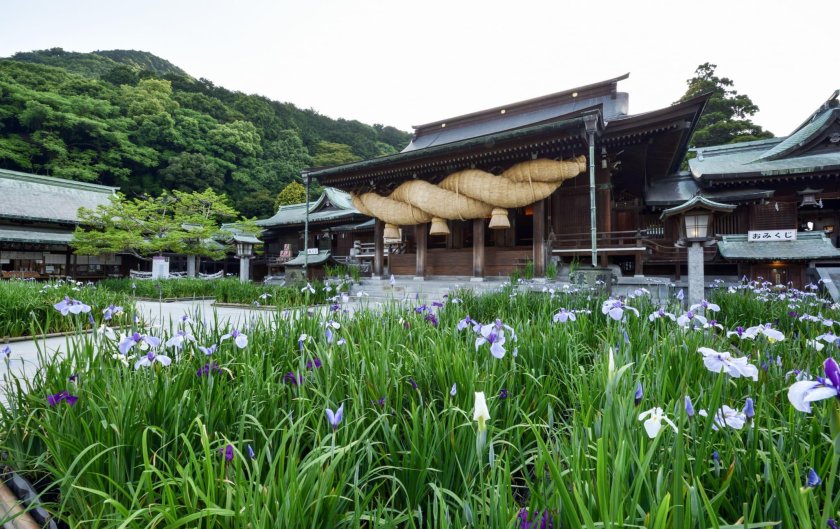 Янагава город