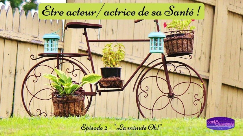 Велосипед клумба