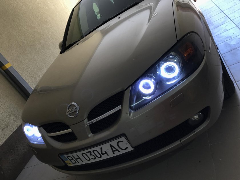 Ангельские глазки Almera n16