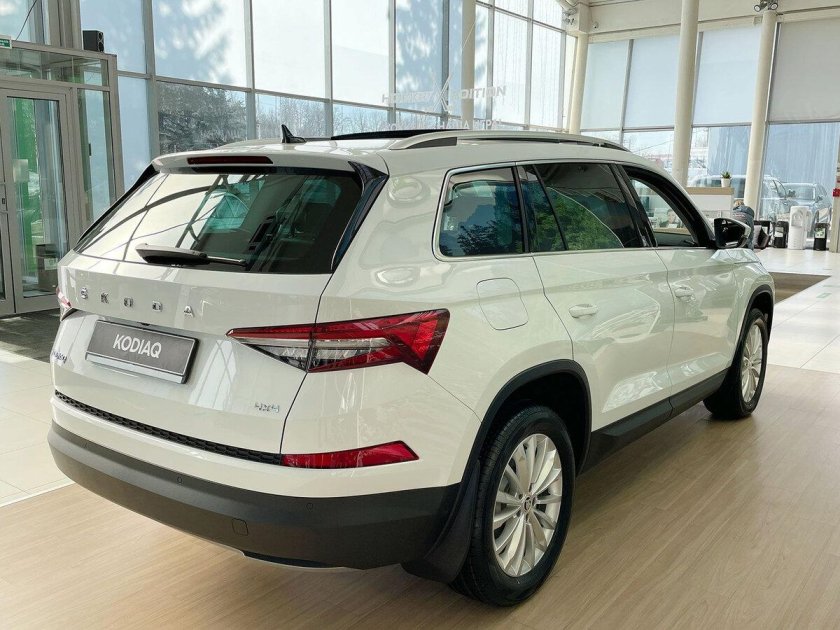 Skoda Kodiaq 2016 — 2022 i серый