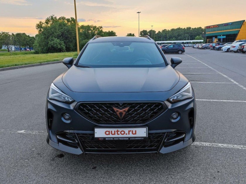 Купра Форментор серый