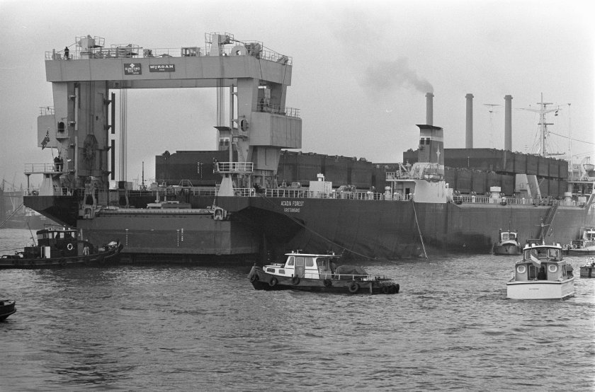 Лихтеровоза 10081