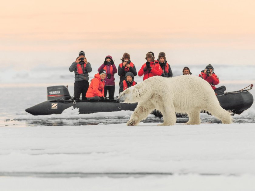 Научная Экспедиция на землю Франца Иосифа