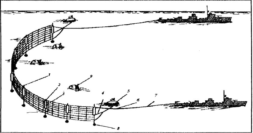 Морской минный трал