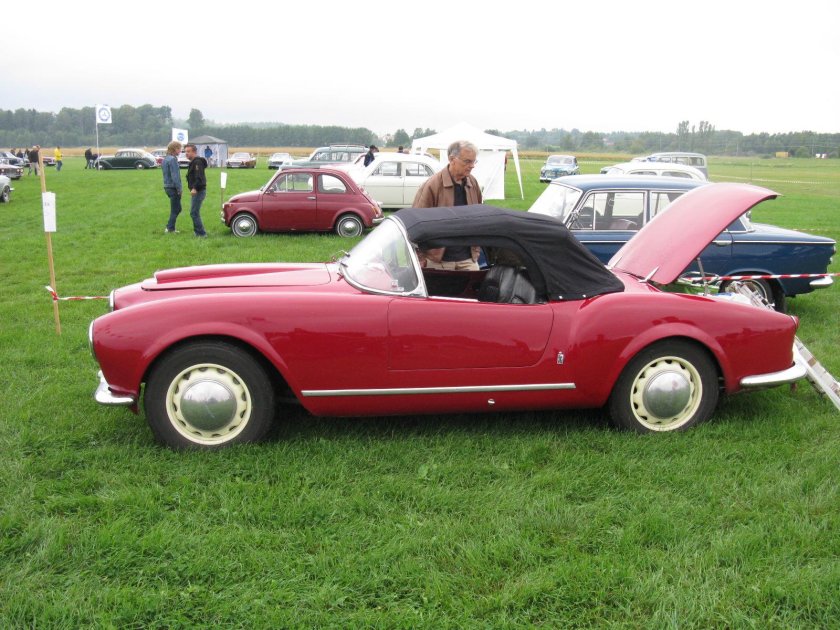 Аурелия паук