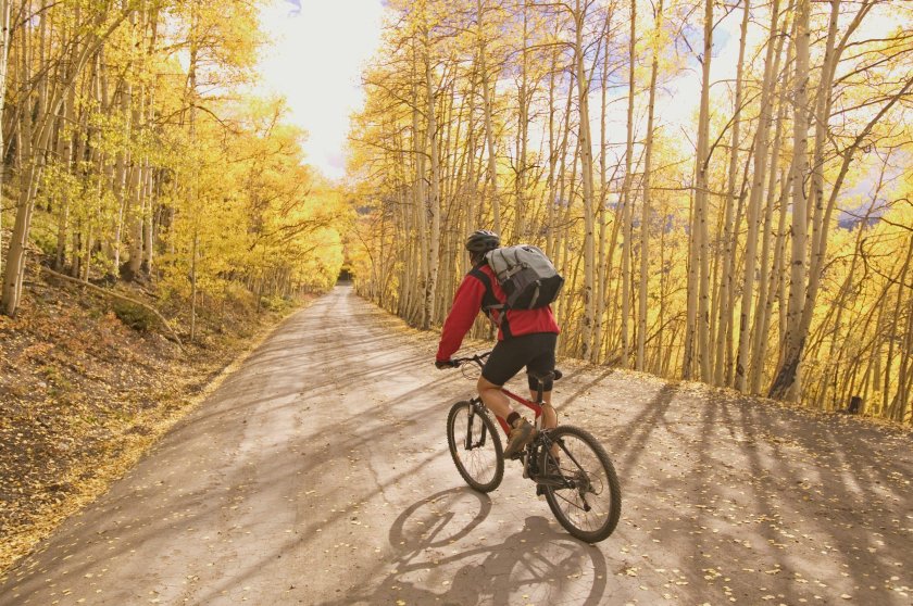 Прогулка на велосипеде