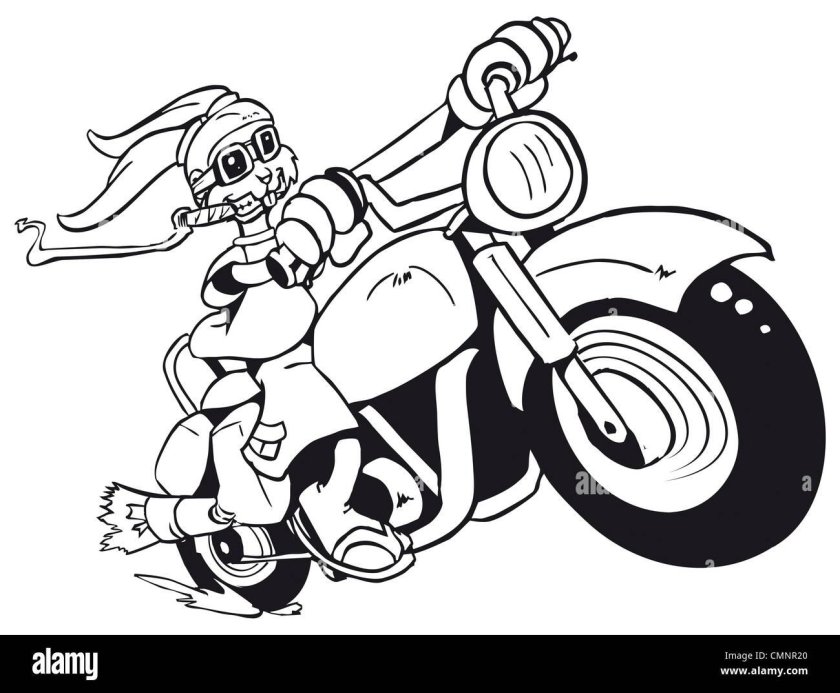 Кролик на мотоцикле