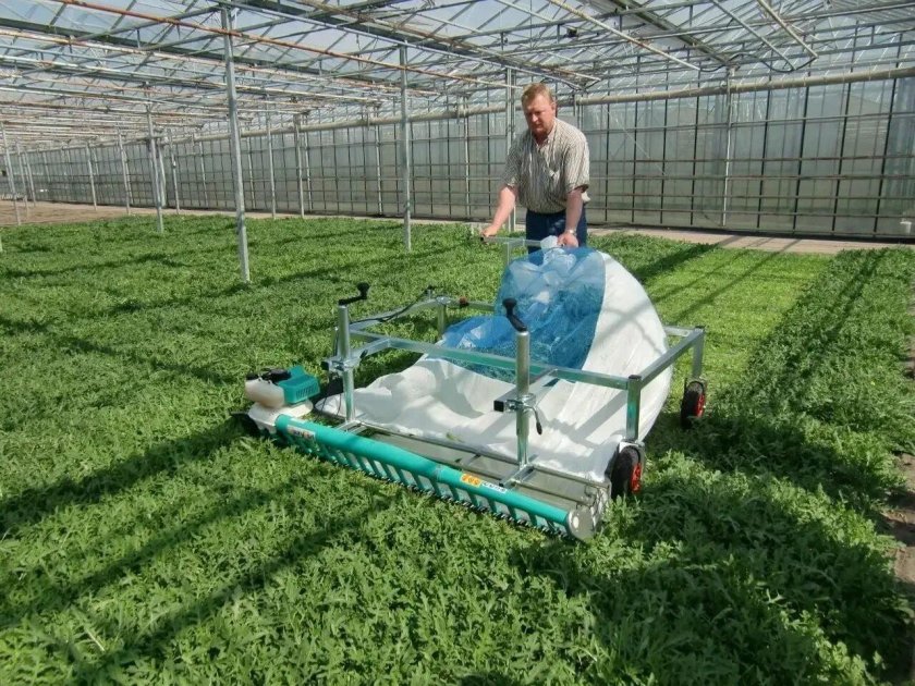 Навесной комбайн для уборки салатов бэби лиф ORTOMEC 2000 - 120