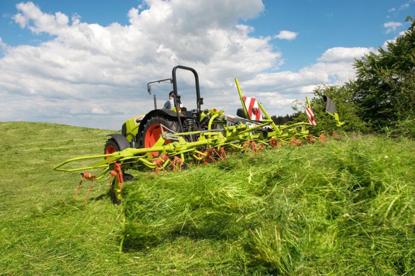 Ворошилка Клаас Вольто