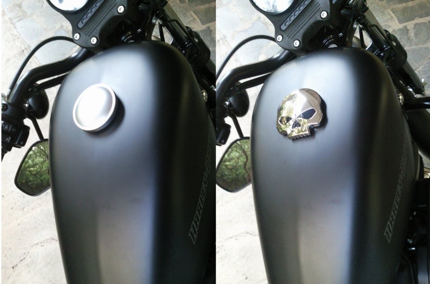 Harley Davidson Sportster бак