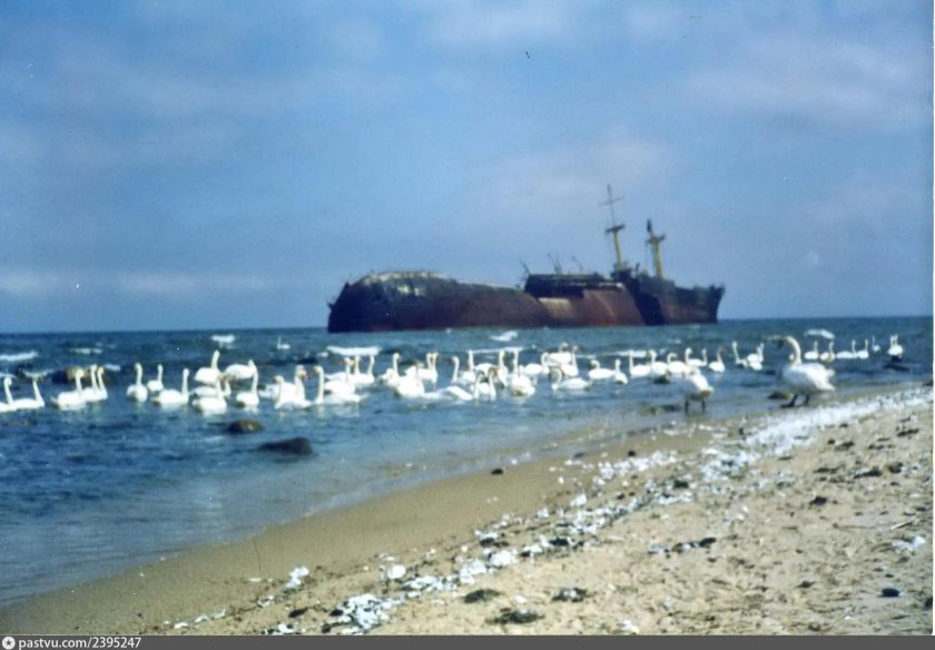 Мыс Гвардейский Заостровье