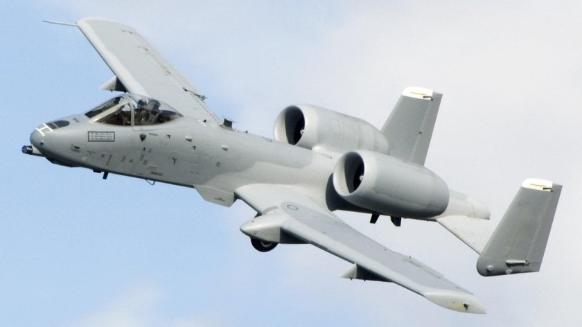 Бородавочник самолет а-10