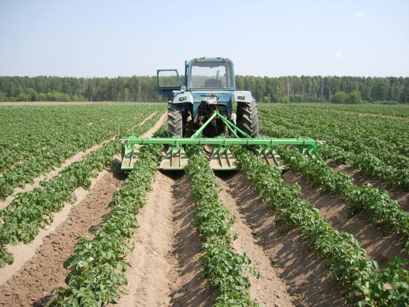 Культиватор-гребнеобразователь КОЛНАГ КГП-4